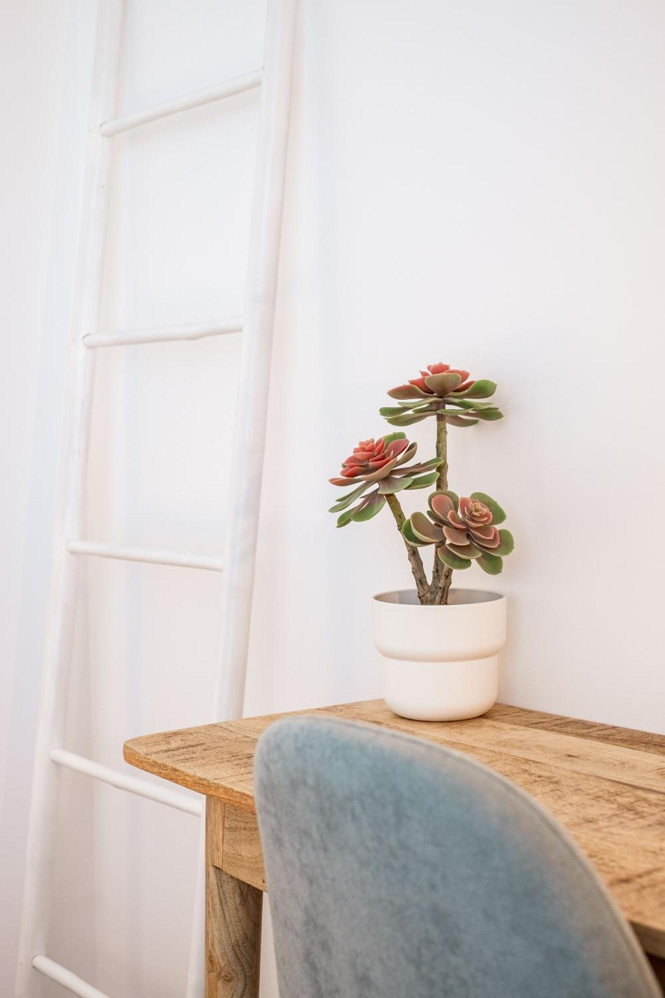 Casa Vica Apartment Sagres Bilik gambar